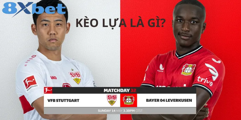 Hướng Dẫn Cách Chọn Kèo Lựa Và Tỷ Lệ Kèo Cược Phổ Biến Kèo lựa